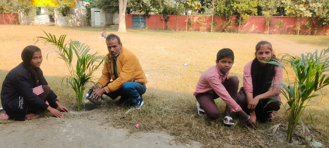 पर्यावरण संरक्षक जैदुल्लाह ने लगाए सरकारी स्कूल में शोभादार पौध 👉 एरिका पाम, बाक्सलीफ यूनेजिया के शोभादार व जामुन का फलदार सहित लगाए कुल पांच पौधे 👉 पौधों से घिरे रहने से बेहतर होता है मानसिक स्वास्थ्य