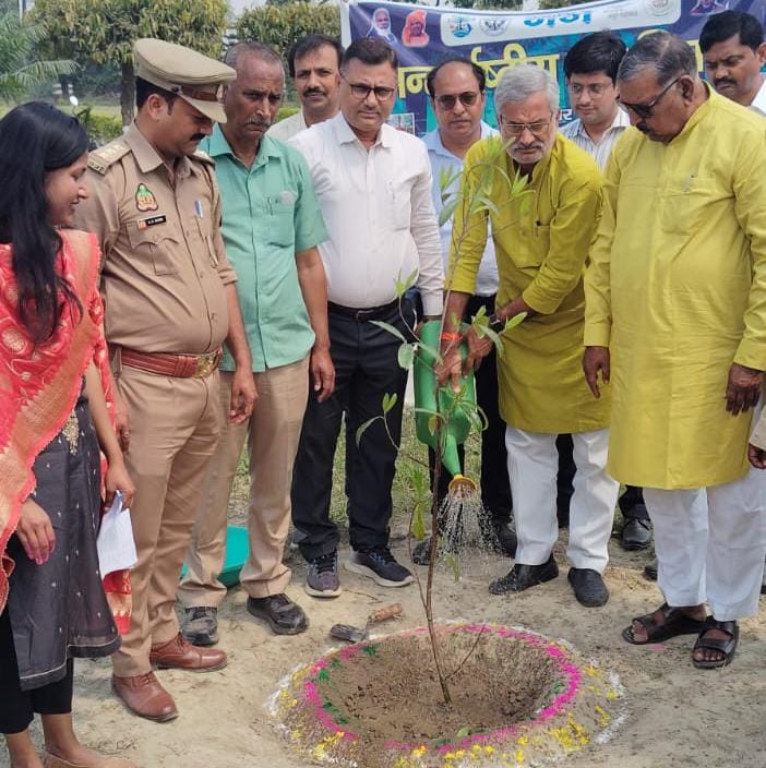 वनों के महत्व को उजागर करने के लिए मनाया जाता है अंतर्राष्ट्रीय वन दिवस