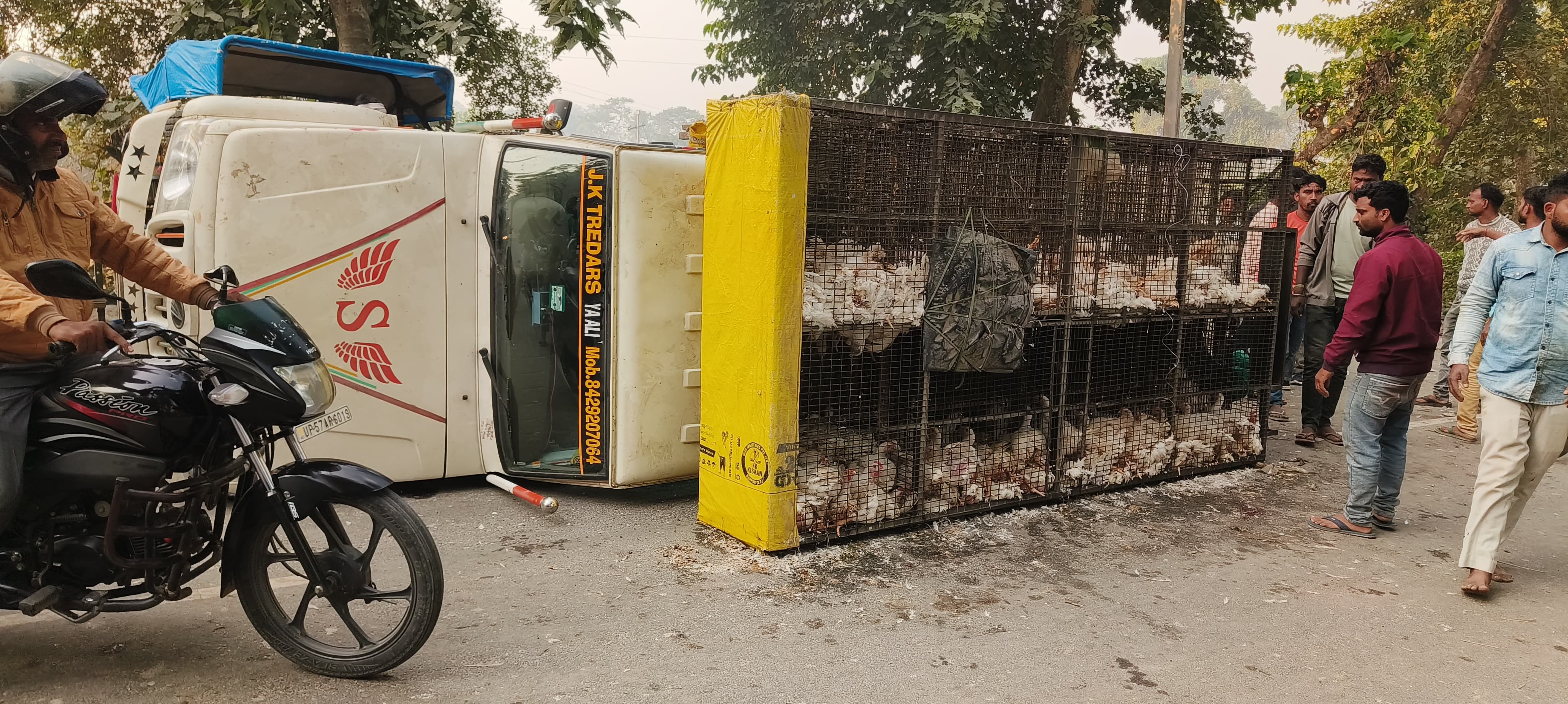 तेजगति ट्रक से बचने में मुर्गा लदा वाहन पलटा, हादसा टला 👉 बचाव में मोड़ा वाहन, नियंत्रण टूटते ही पलटी पिकअप 👉 ग्रामीणों की तत्परता से तुरंत बहाल हुआ सड़क पर आवागमन